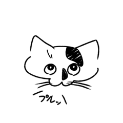 yuika_20260428232724