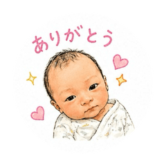 N family_20260428232901