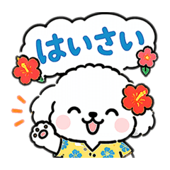 popola_20260428232530