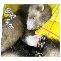 Ryuto_20260428232906