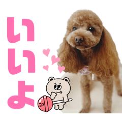 Rmama_20260428235346