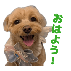 sayamaru_20260426