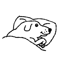 ISOBE_20260429000706