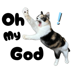 merugumi.m_20260429000848