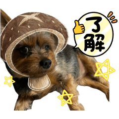 KITAMURA_20260429000444