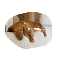 justin_20260428235602