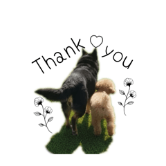 ayano_20260429001010