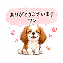 Mikahon_20260429001013