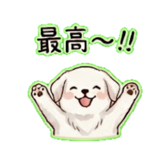 Niboshi_20260429000354