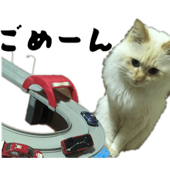 chacha_kainushi_20260428235636