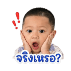 Nidcha_20260427215033
