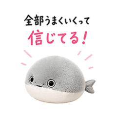 Coelacanth_20260424140613