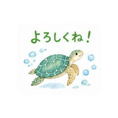 Ringo_20260429033744