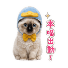 耖灰搭小寶貝part 2