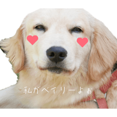 hno stamp_20260429021123