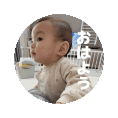 miyu_20260429023920