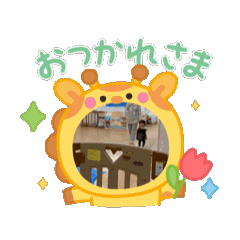 mai_20260429094327