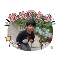 teppee_20260429123842