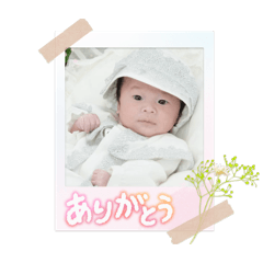 Hikari_20260429022725