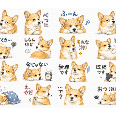 CORGISM_I.LOVE.BETTY
