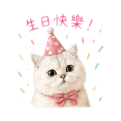 咪嚕酷的撒嬌日常