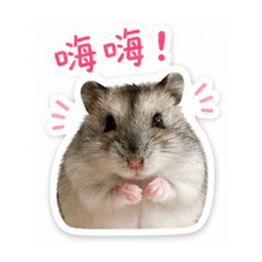 是奈奈不是耐耐