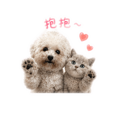 比比諾諾❤️