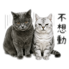 妹妹弟弟生活篇