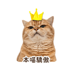 嚕嚕咪表情包