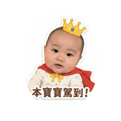 葉大千寶寶駕到