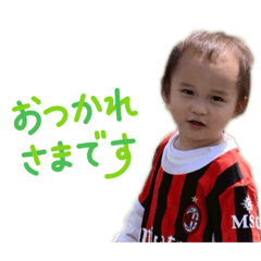 wak_20260429032629