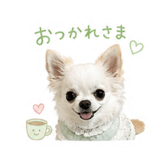 uritoto_20260429032540