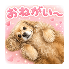 iyo_20260429033432