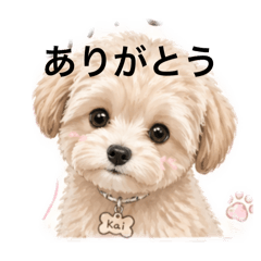 kirico_20260429080045
