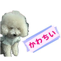 Teo. Noa_20260429082421