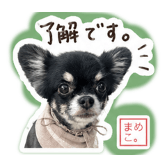 K.zai_20260429082438