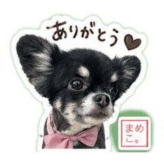 K.zai_20260429082216