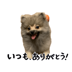 kantoku_20260426204040