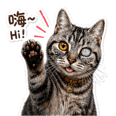 肥WI日常2