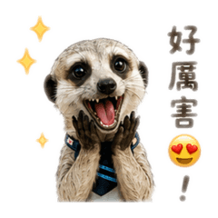癒室狐獴小管家-寶力的問候語