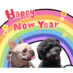 poco-pocota_20260429002819