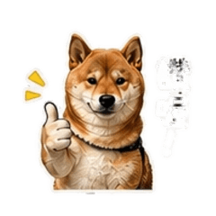 有禮貌的小毛子