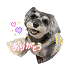 tnkwsrn_20260429065410