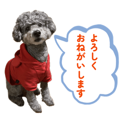 lavendel_20260429071451