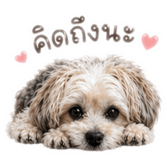 Truffle Love