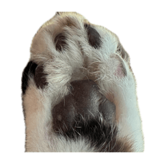 teto._20260429085109