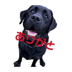yk_20260429090614