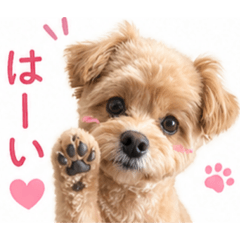 Tim Chill Stickers02