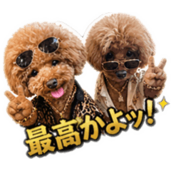 kakao_20260429090954