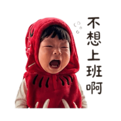 上班耍廢無尾熊